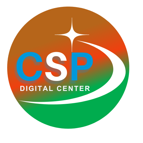 What is a CSP?